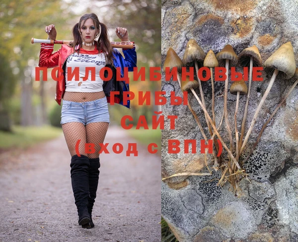 а пвп мука Богданович