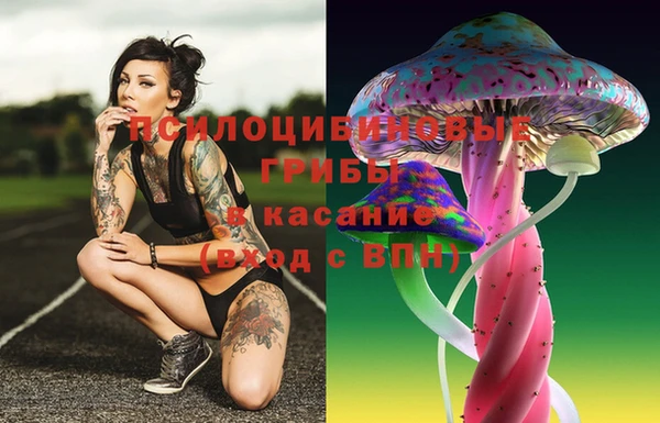 синтетический гашиш Богородицк
